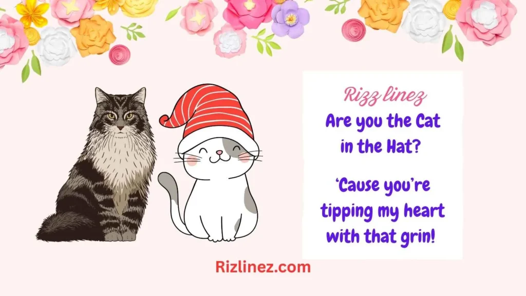 Cat in the Hat Rizz Lines