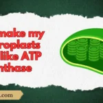 Chloroplast Rizz Lines