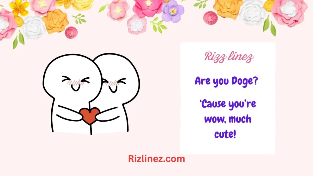 Doge Meme Rizz Lines