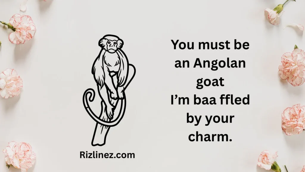 Funny Angolan Rizz Lines 