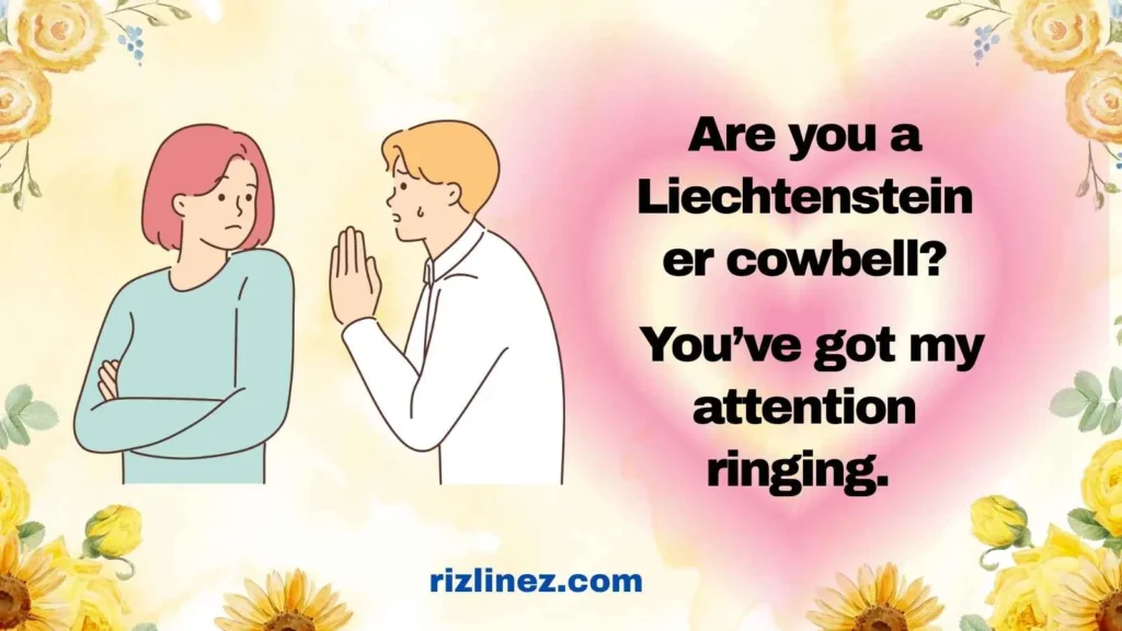 Funny Liechtensteiner Rizz Lines