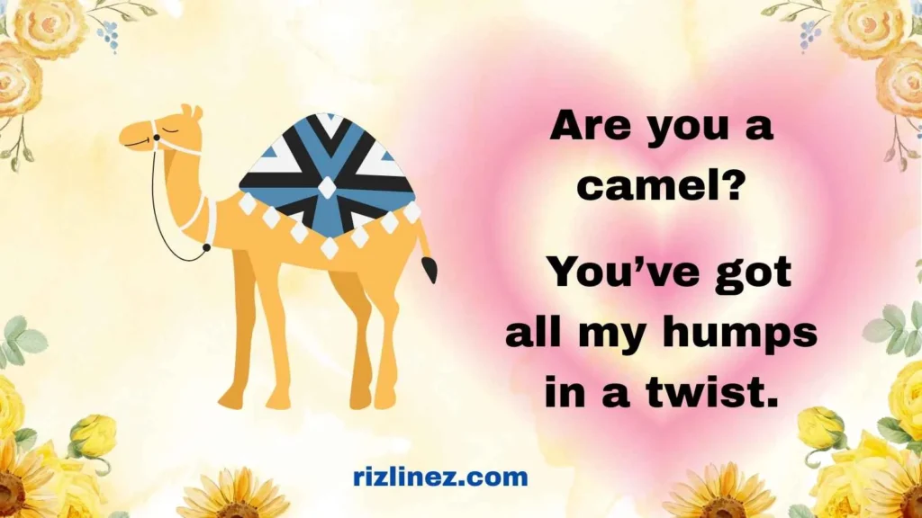 Funny Moroccan Rizz Lines