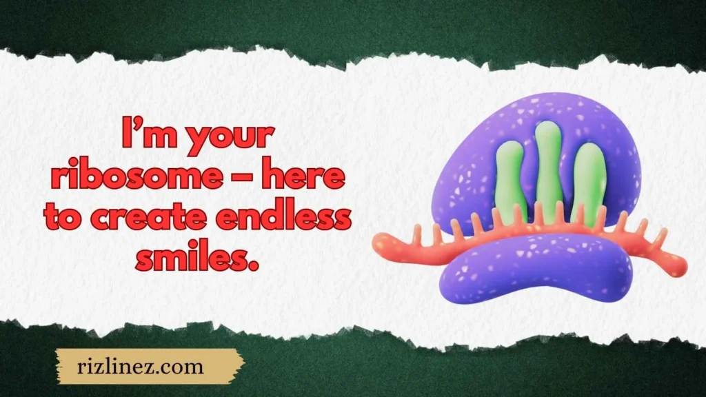 Playful Ribosome Rizz Lines