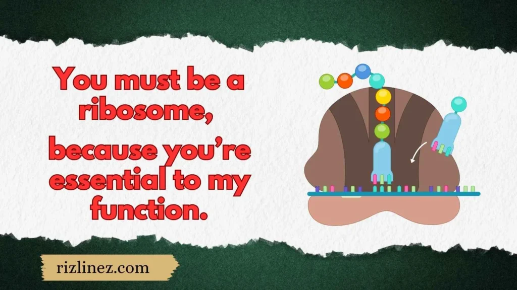 Ribosome Rizz Lines for Biology Lovers 