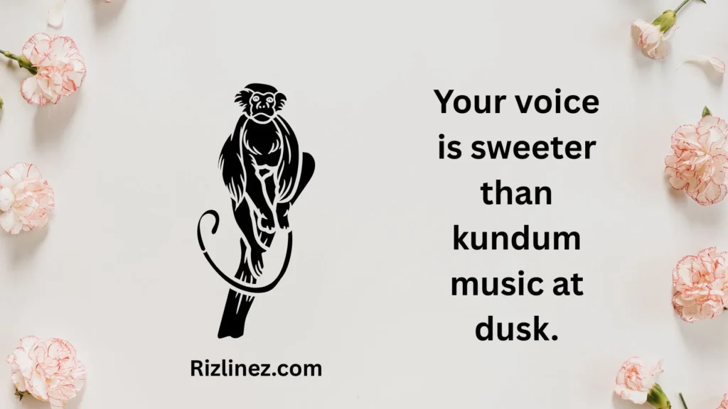 Romantic Angolan Rizz Lines 