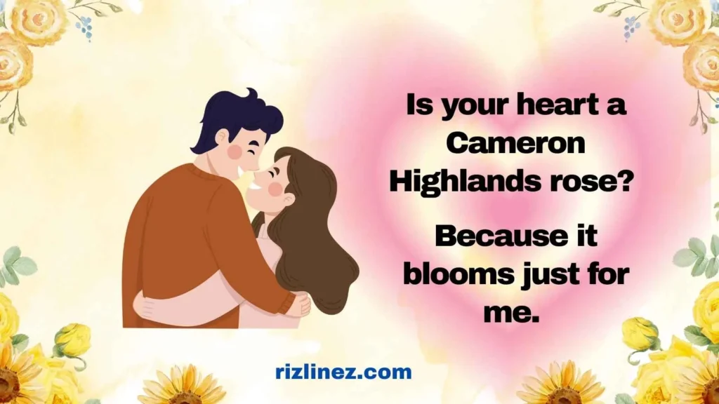 Romantic Malaysian Rizz Lines