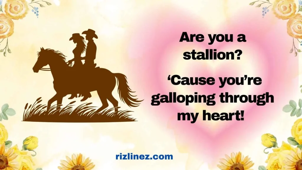 Stallion Swagger Lines