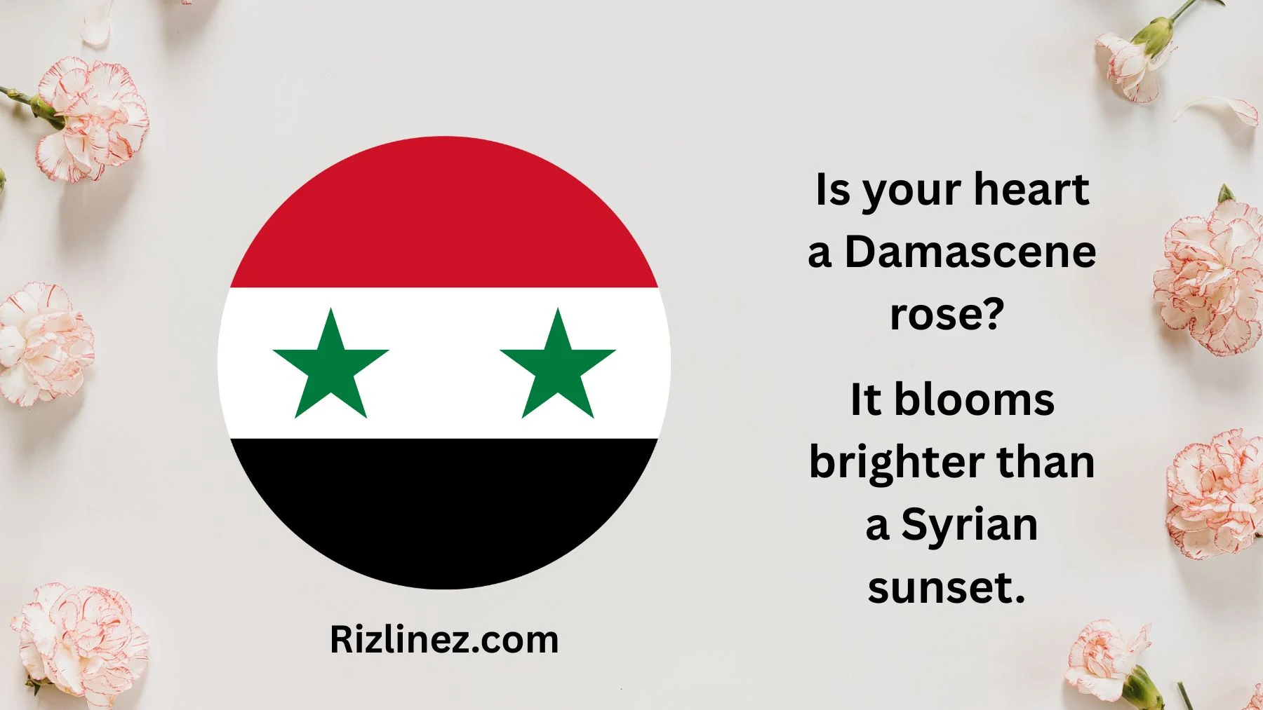 Syrian Rizz Lines