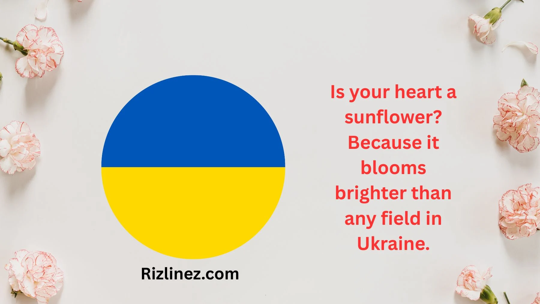 Ukrainian Rizz Lines