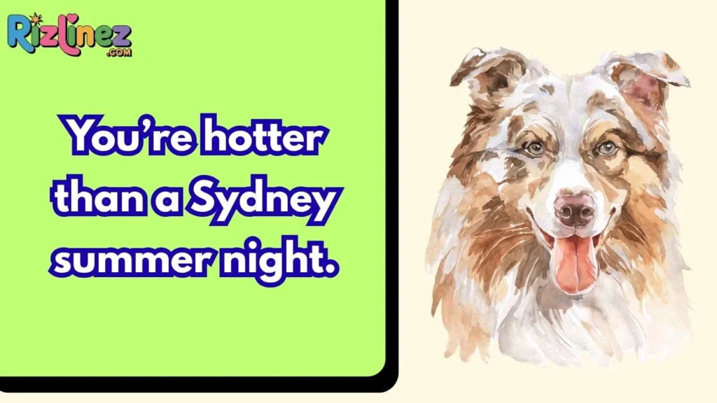 Urban Aussie Rizz Lines