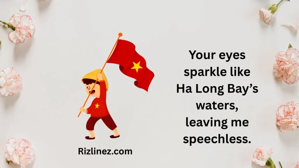 Vietnamese Rizz Lines
