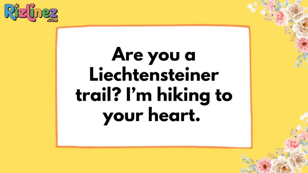 Playful Liechtensteiner Rizz Lines