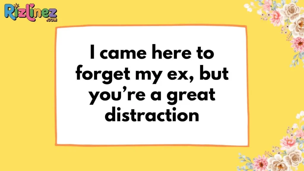 Witty & Funny One Liners