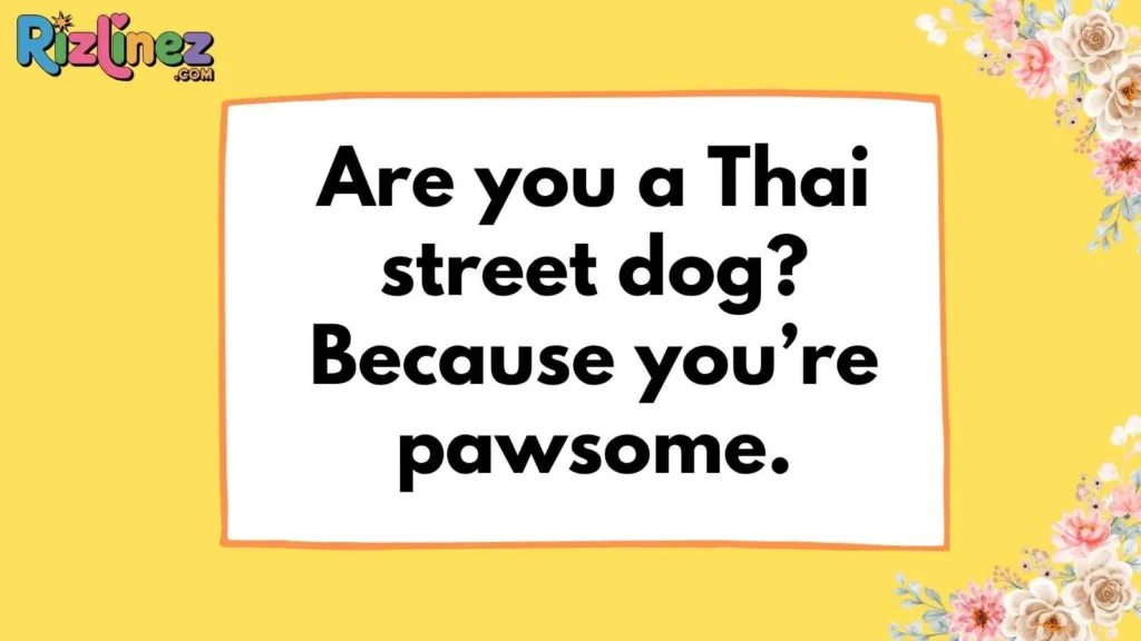 Funny Thai Rizz Lines