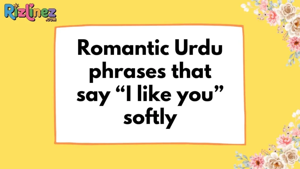 Pakistani Rizz Lines for Crush