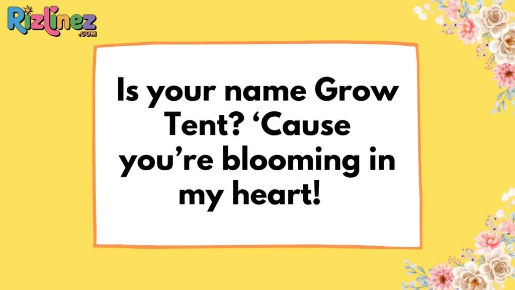 Stash and Grow Rizz Lines