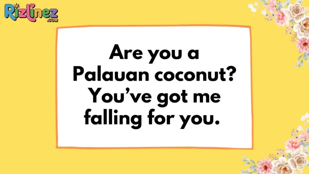 Cheesy Palauan Rizz Lines