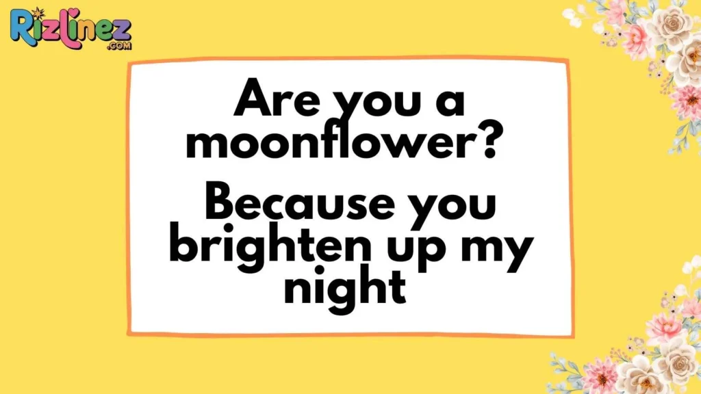 Cute Moon Pick Up Lines