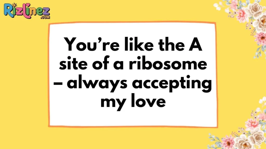 Cute Science Humor