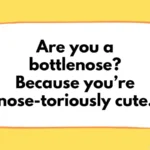 Dolphin Pick Up Lines