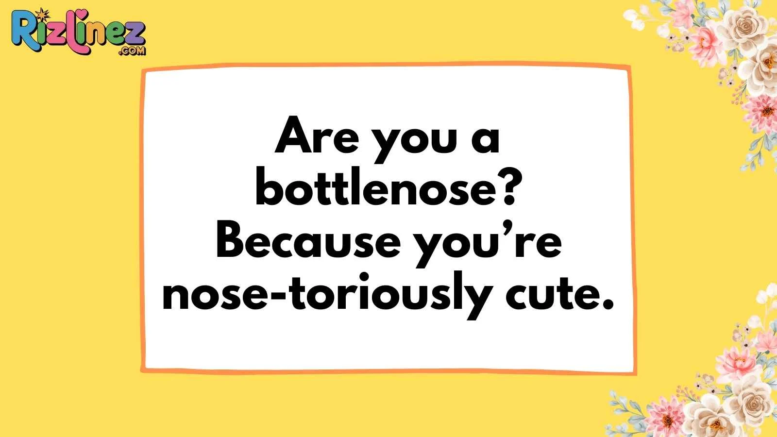 Dolphin Pick Up Lines
