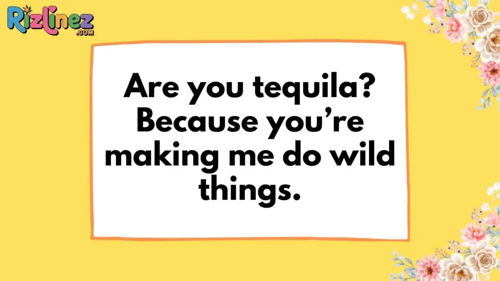 Flirty Inappropriate Pick Up Lines