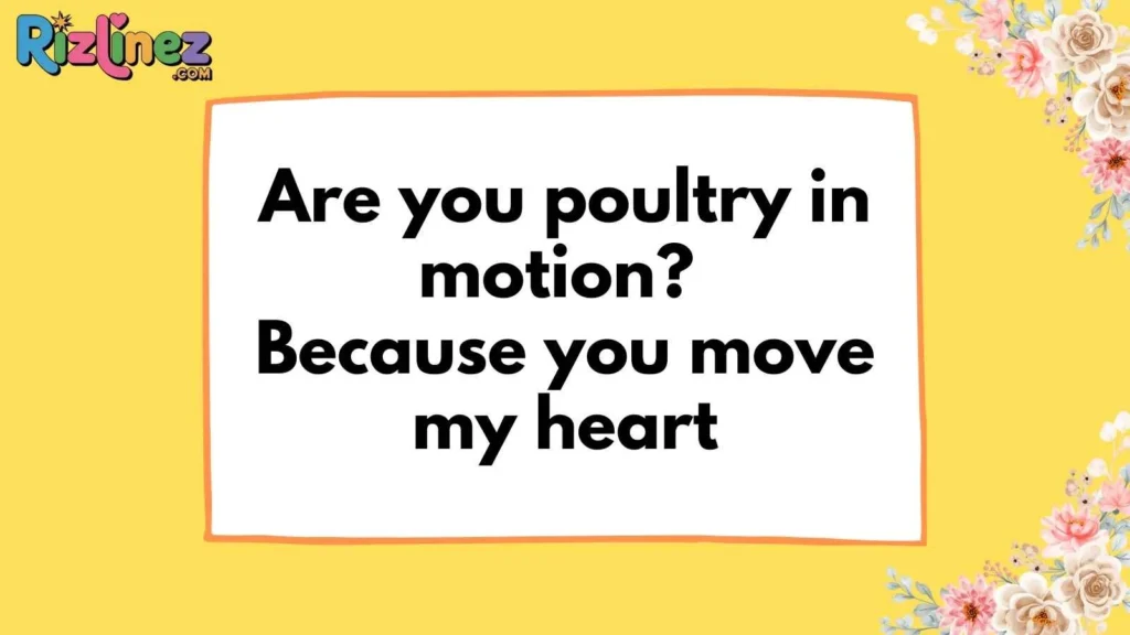 Hilarious Chicken Pick Up Lines