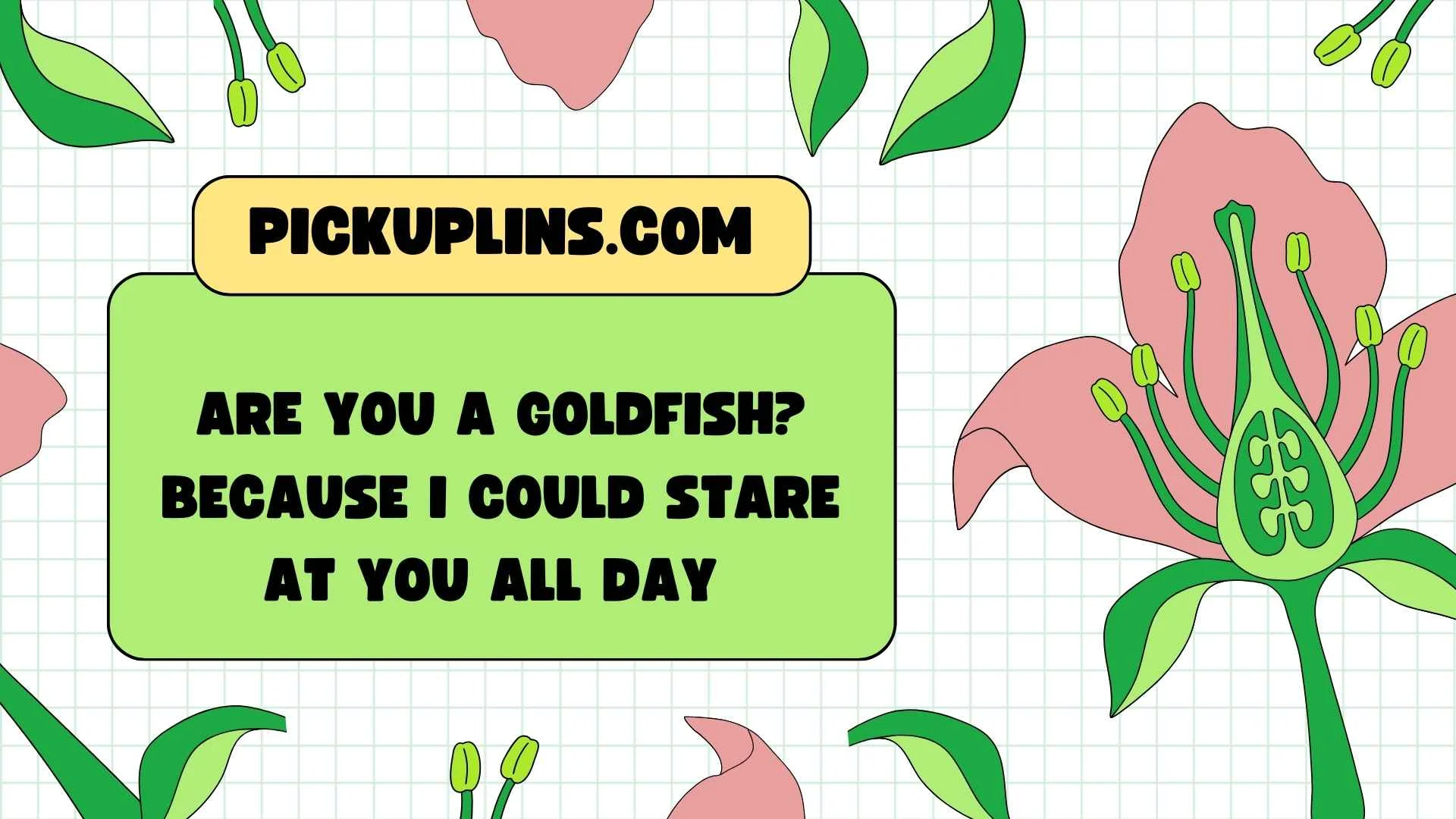 I Have a Goldfish Rizz Lines