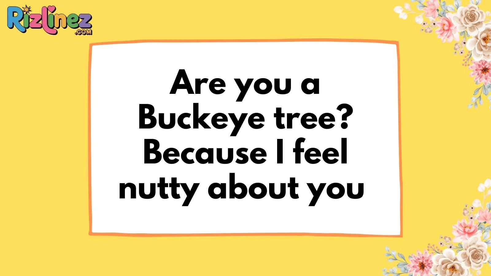 Ohio Pick Up Lines