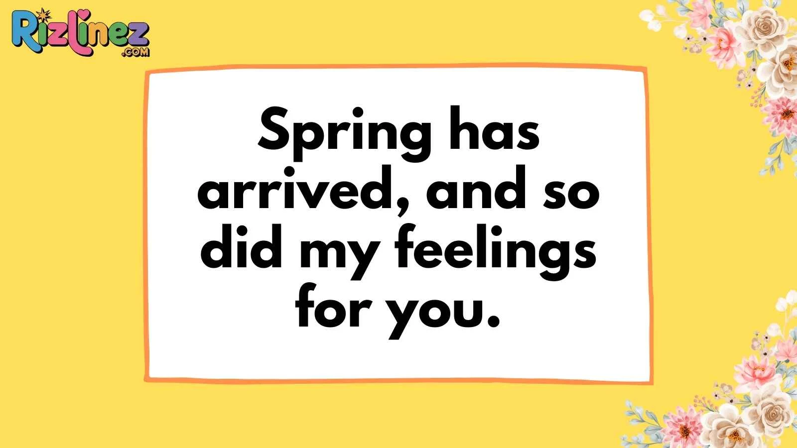 Spring Rizz Lines