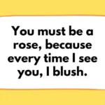 Valentine’s Day Pick Up Lines