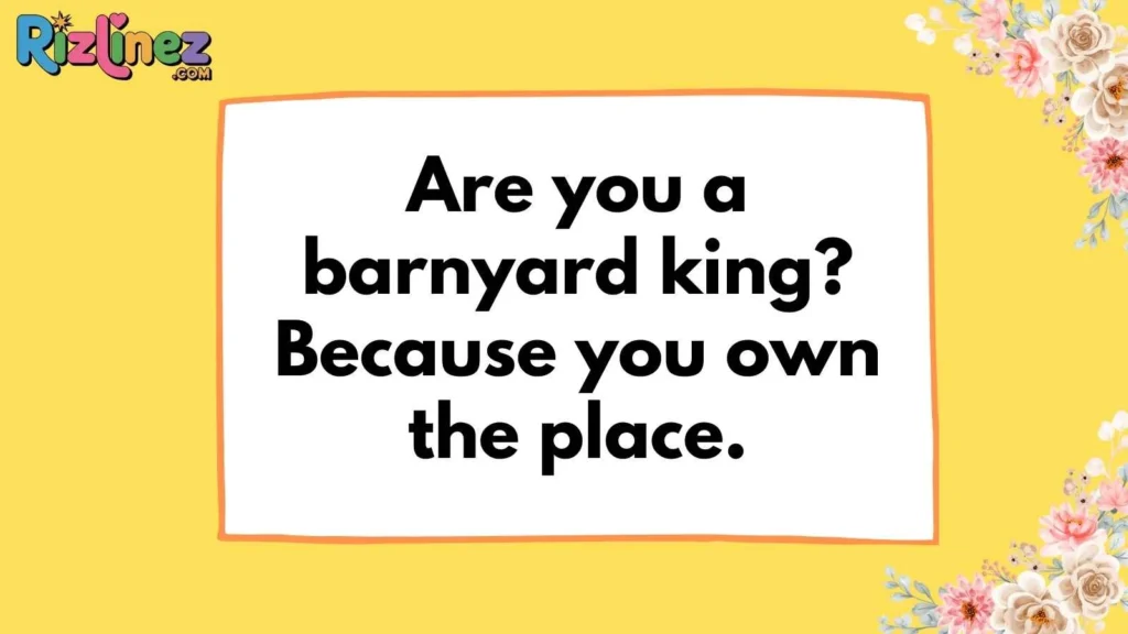 Bold & Cheeky Cock Lines