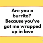 Burrito-Pickup-Lines
