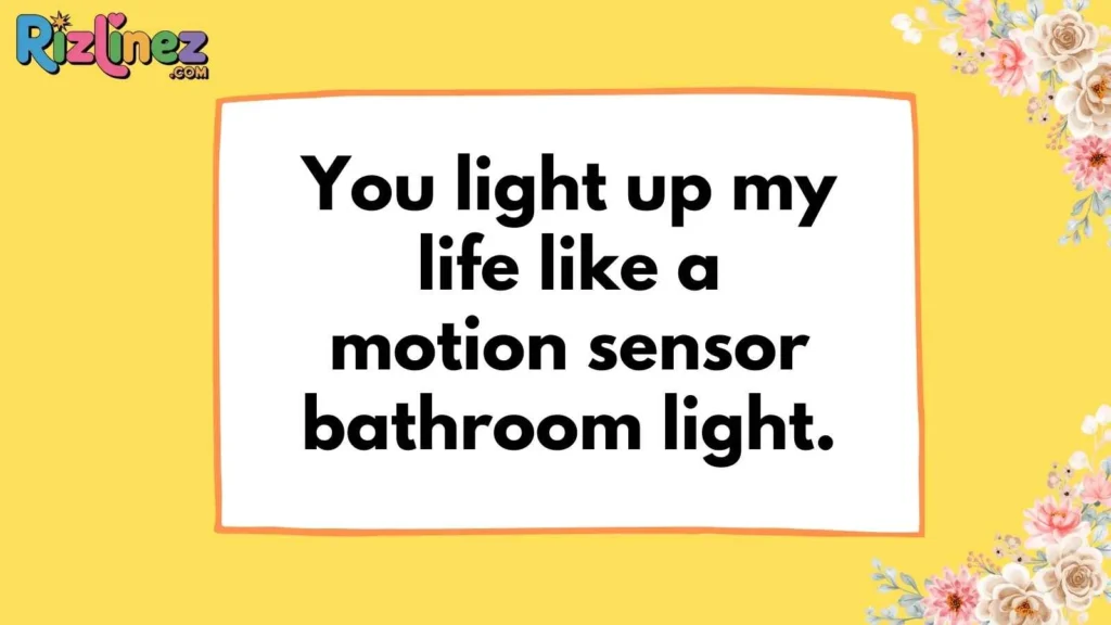 Funny Poop Pickup Lines