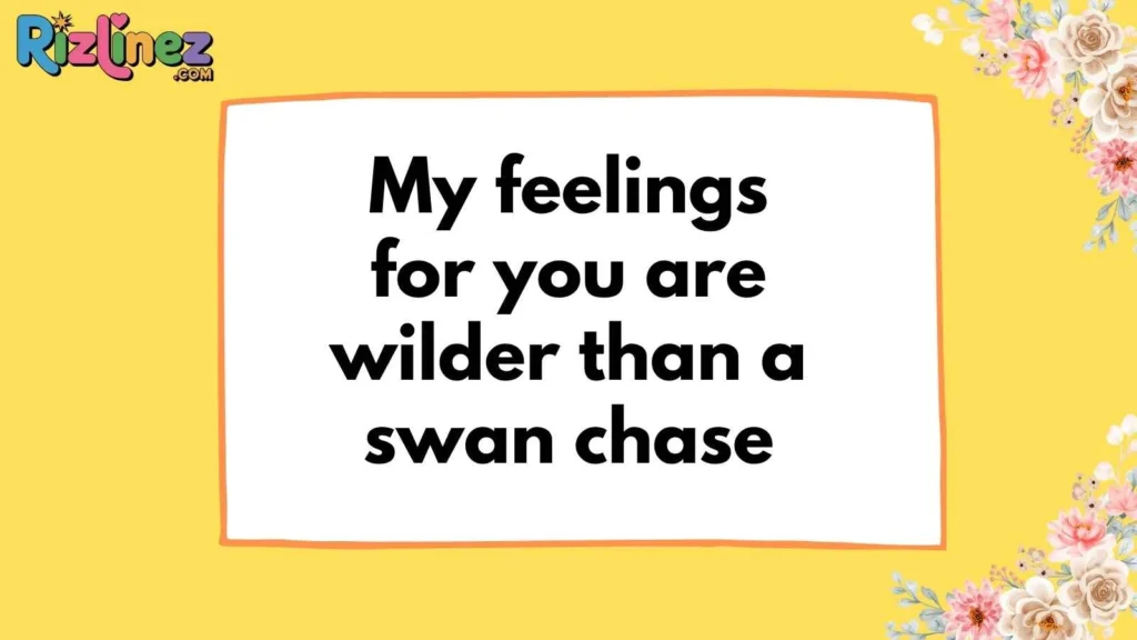 Funny Swan Pickup Lines