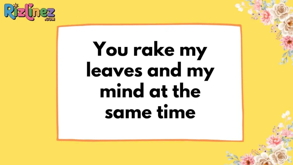 Cheeky & Flirty Amish Lines