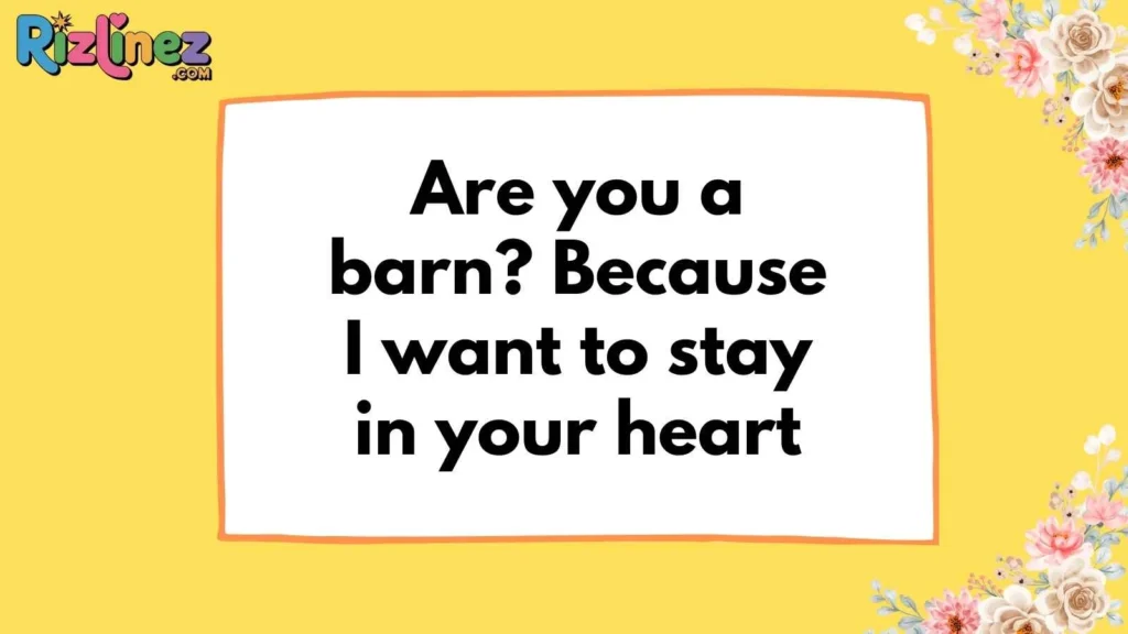 Classic Amish Pickup Lines