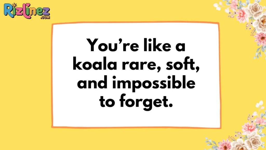 Cute Koala Pickup Lines