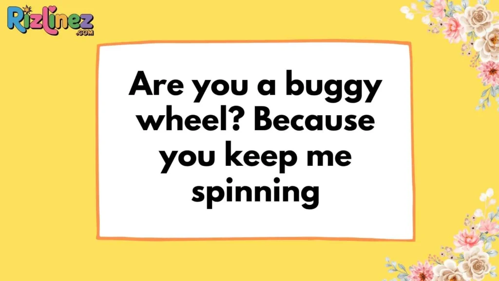 Funny & Punny Amish Lines