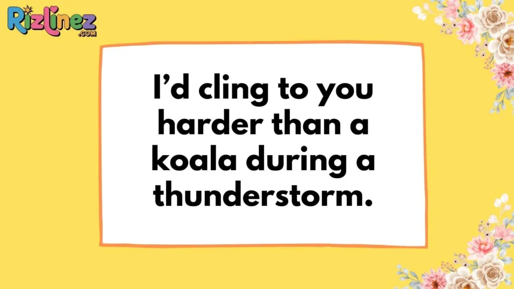 Koala Pickup Lines for Texting Your Crush