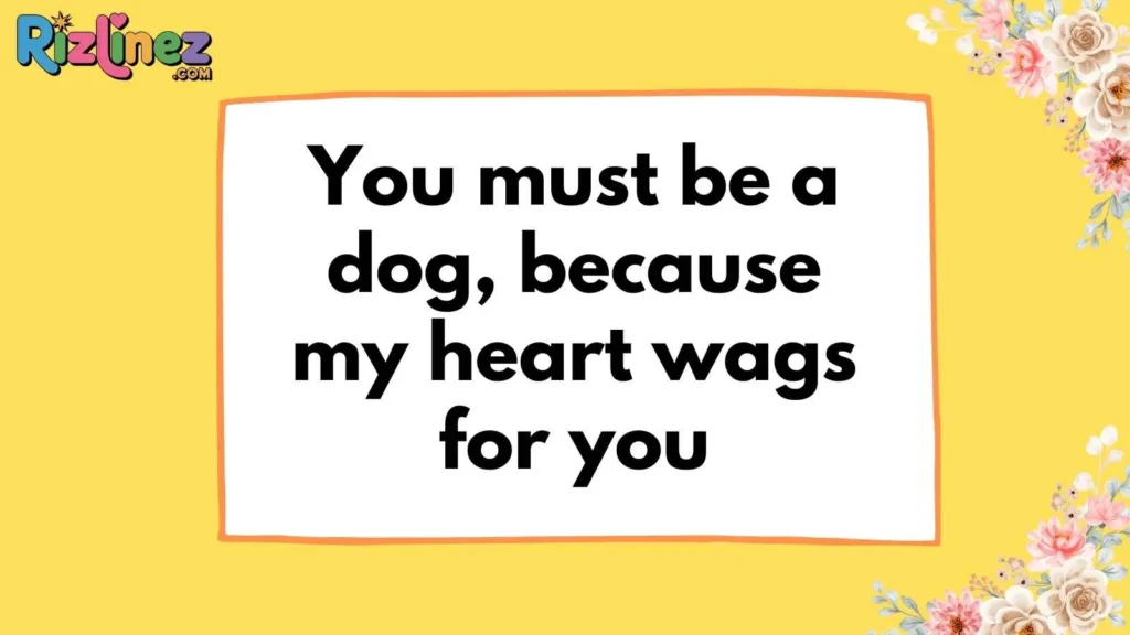 Pet Allergy Pickup Lines