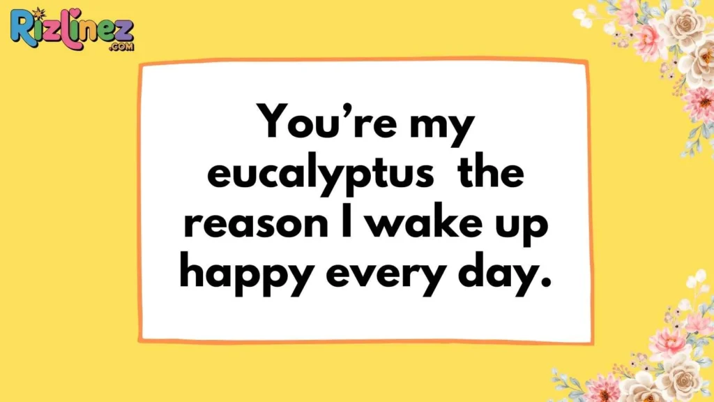 Romantic Koala Pickup Lines